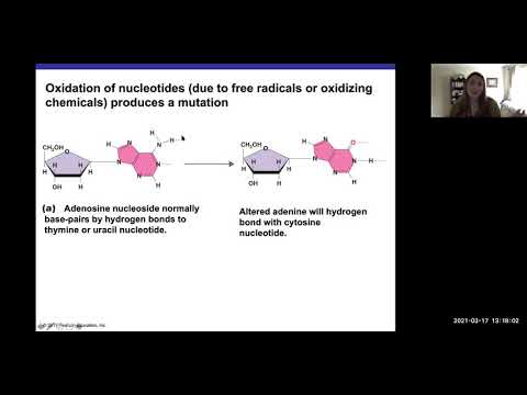 Ch 8 Part 2 Mutations & Recombination