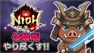 【仁王3】体験版解禁。妖怪蠢く「常闇」の戦国世界へ。美しき死にゲーを実況プレイ【PS5/初見ソロ】