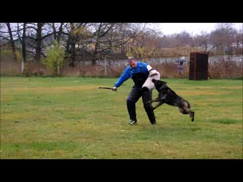 Megie z Vodňanské doliny