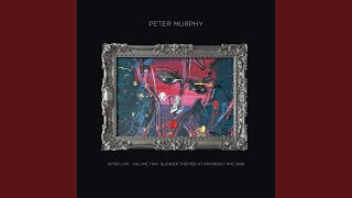 Deep Ocean, Vast Sea