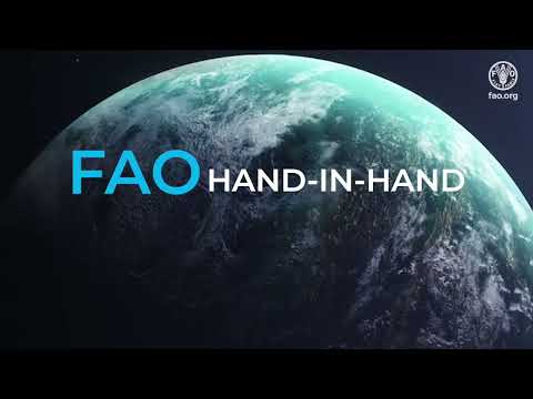 FAO Hand-in-Hand: Building a better future for all