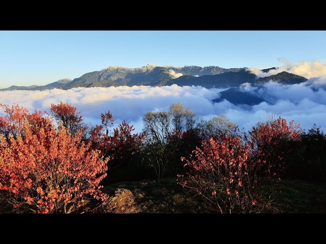 阿里山小笠原山觀景台日出
