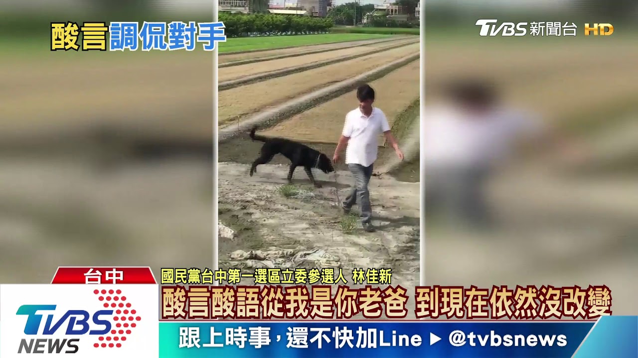「武雄要選喔」　陳其邁酸林佳新狗來參選