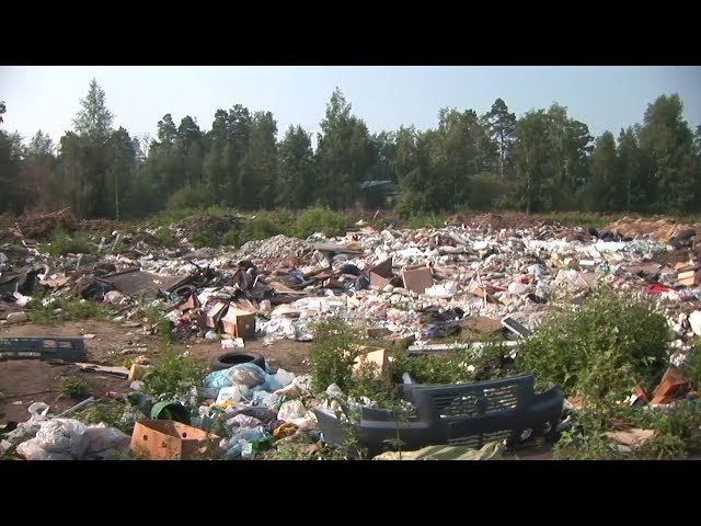 Город избавят от мусора