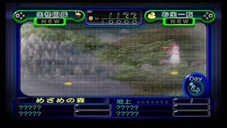 続・あなたとわたしとPIKMIN！１日目【ピクミン2】