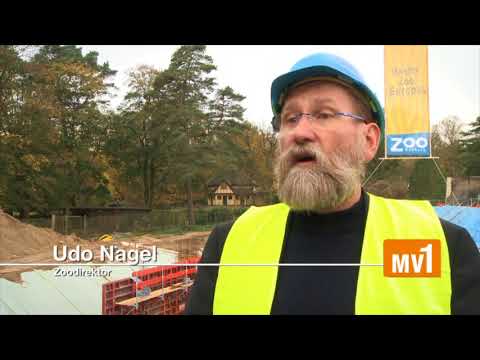 Grundstein für das Polarium gelegt