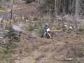Trail Riding At Naches Washington