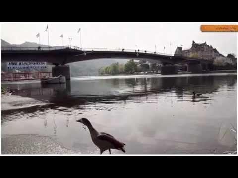 Moselsteig HD -  Eröffnung der Etappe 11 Bernkastel-Kues-Ürzig 2014 | Mosel