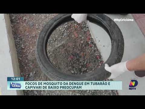 Aumento de focos de dengue preocupa em Tubarão e Capivari de Baixo