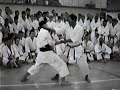 Shirai 1995 Jitte