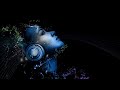 PALOM PALOM BASS BOOSTED SONG