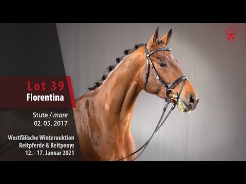 Trainingsvideo Winterauktion Lot 39 Florentina Sute v. Federico Fellini -  Clay