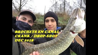 BROCHETS EN CANAL - CRANK ET DROP SHOT - CONCOURS STREAM FISHING