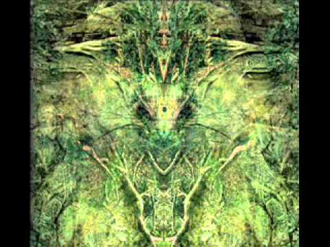 Already Maged - Circle Dance Of Cold Constellations