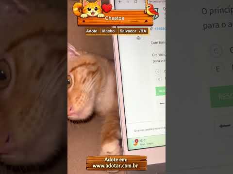 Vídeo de Cheetos