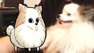 BENNY AGGRO! Livestream and Hilarity