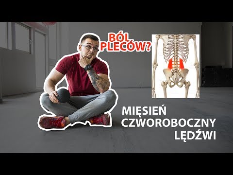 Jak podkręcić swoje mięśnie nóg dla kobiet Na mięśni piersiowych w eksploatacji samców