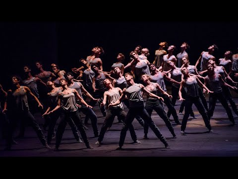 Trailer: Watch The Royal Ballet's Flight Pattern (2019) Friday 6 November #OurHouseToYourHouse