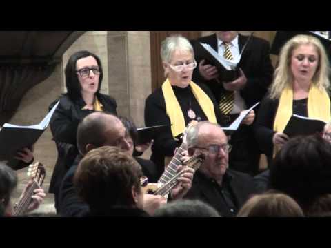 Montagano 2016 -24 Febbraio 2016 -  "MULISE"  di Aldo RICCIARDI.