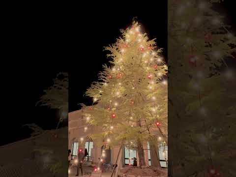 文学言語学科 Merry Christmas from Kwansei Gakuin!