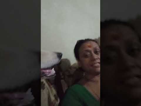 Dui hingshuti RAJENDRANI ar CHANDRANI  dui bon come best friends  also