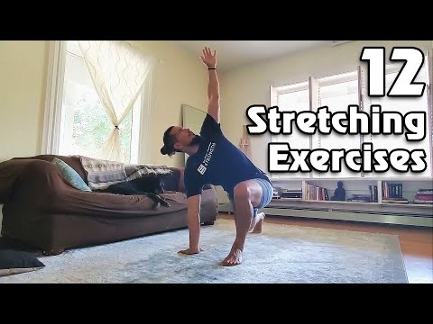 12 Stretching Exercises to Increase Your Flexibility (Morning Routine) Video