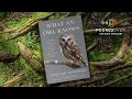 #PouredOver: Jennifer Ackerman on What an Owl Knows