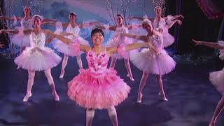 The fresh beat band Surprise yourself Happy new year 🎆