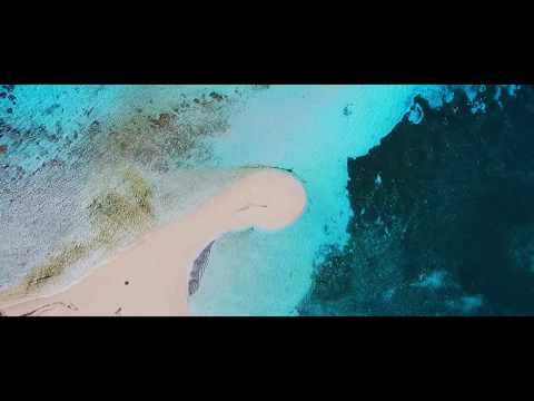 ¿Qué Significa Volar? Descúbrelo con Albatros Airlines