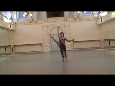 Diana & Acteon Venus Villa & Young Jae