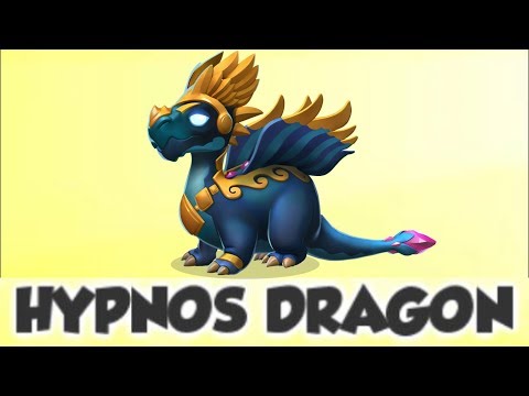 Live Stream Day 11 With Quacks - READ STREAM FAQ's