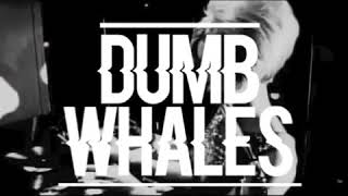 Dumb Whales - The Great Divide (2020) video