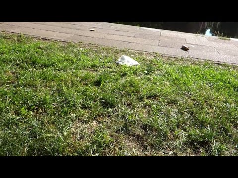 Jemek Jemowit - serce w plecaku