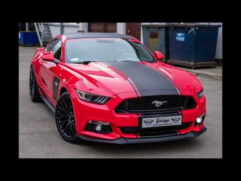 Phonk my A$$ (Radio Edit)