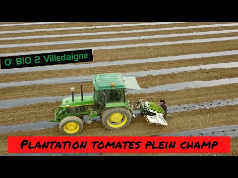 , title : 'Plantation et protection des 1eres tomates plein champ de l'année..'