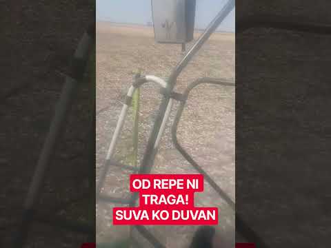 IZGORELA NJIVA PRAZNI VAGONI: STA JE OVO OSTALO OD REPE?