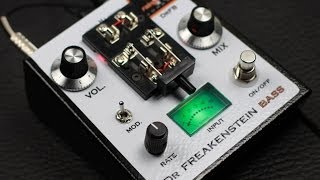 Video thumbnail for Rainger FX Dr Freakenstein Bass DrFB - BASS Demo by MrExcane