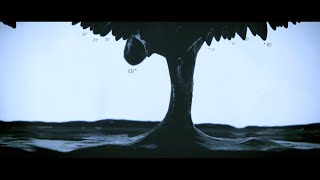 Max Cooper - Origins - Official Video by Rabbit Hole and Black Box