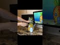 Check out the full video on my YouTube channel #spongebob #pineapple #youtube