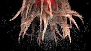 Maya : nCloth nHair nParticle Melange