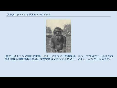 アルフレッド・ウィリアム・ハウイット