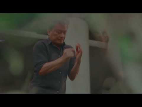 Mindy Meng Wang 王萌 & Tim Shiel - 'Mirror Flower 镜花水月' (Official Music Video)