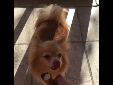Keana eating ice cream 🍦😁