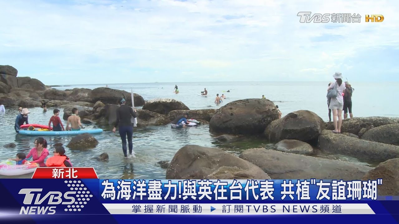 為海洋盡力!新北山海造林啟動 卯澳灣今年將種500株珊瑚