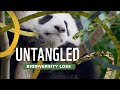 Untangled Biodiversity Loss Why Should You Care
