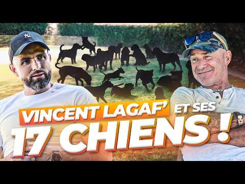 La folle vie de Vincent Lagaf’ et ses 17 chiens !