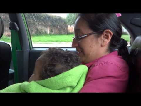 Protecting the Health of Colombian Orphans