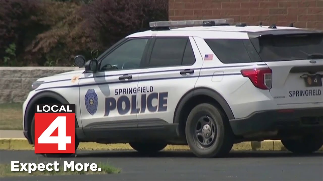 Metro Detroit Haitian community blasts Trump over false claims