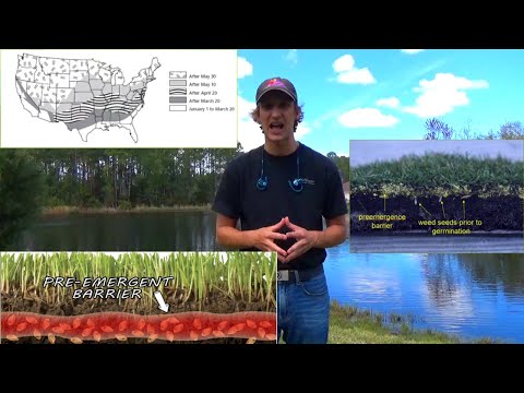 How And When To Apply Pre Emergent To Warm Season Grass. (St. Augustine, Zoysia, Bermuda)