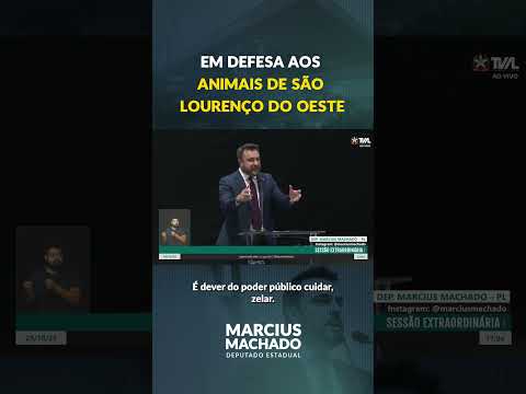 Em defesa aos animais de São Lourenço do Oeste | Marcius Machado